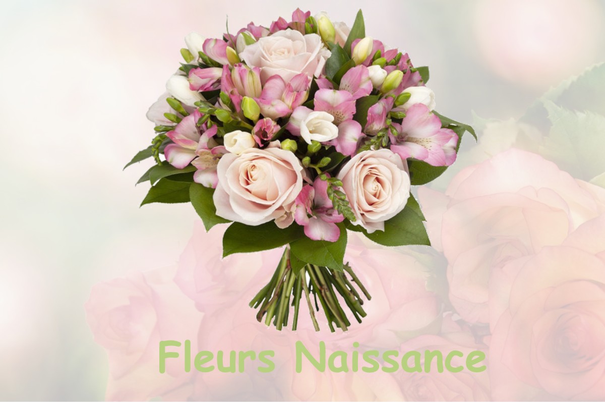 fleurs naissance FRANSECHES