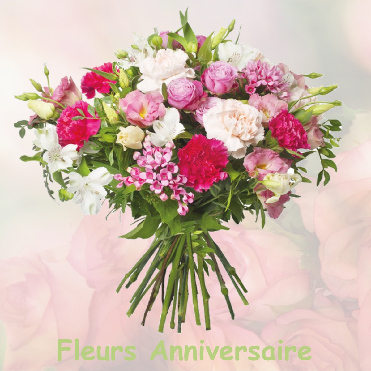 fleurs anniversaire FRANSECHES